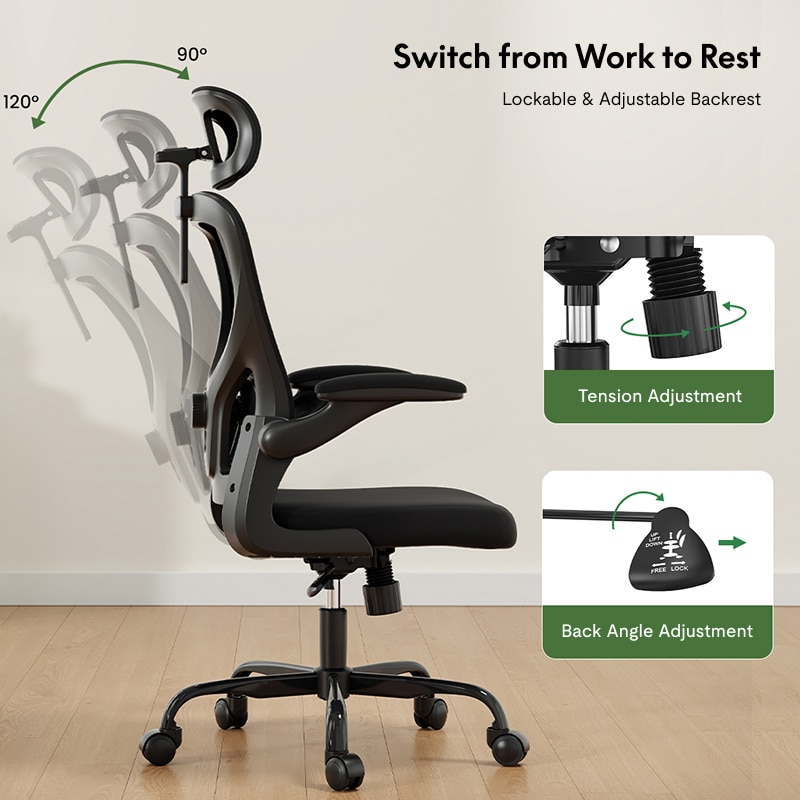 Ergonomic Office Chair (C2) Flexispot