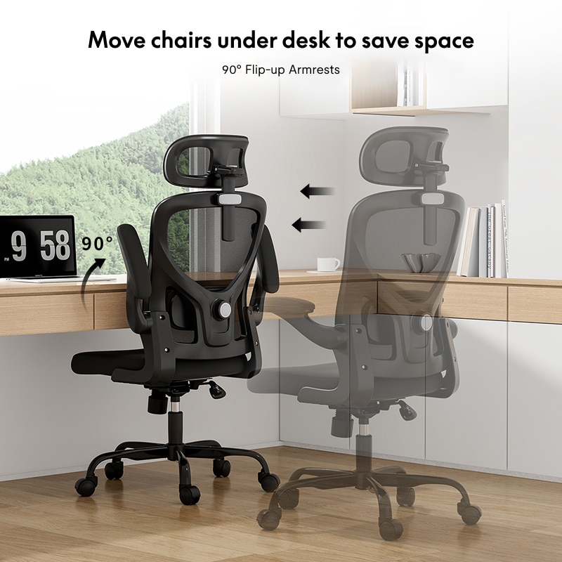 Ergonomic Office Chair (C2) Flexispot