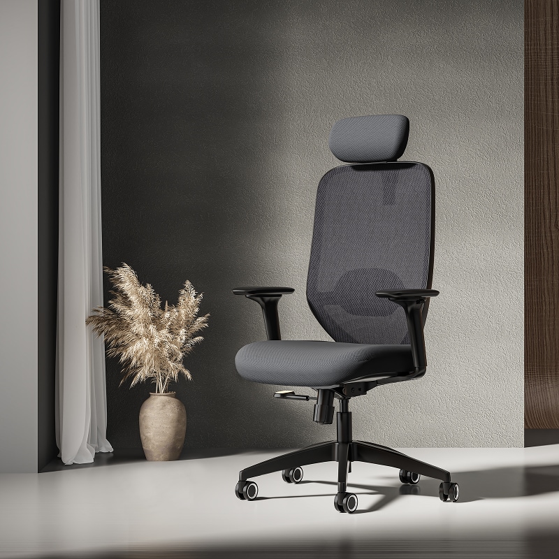 Soutien Ergonomic Office Chair C5 | Flexispot Soutien Ergonomic Office Chair C5 | Flexispot