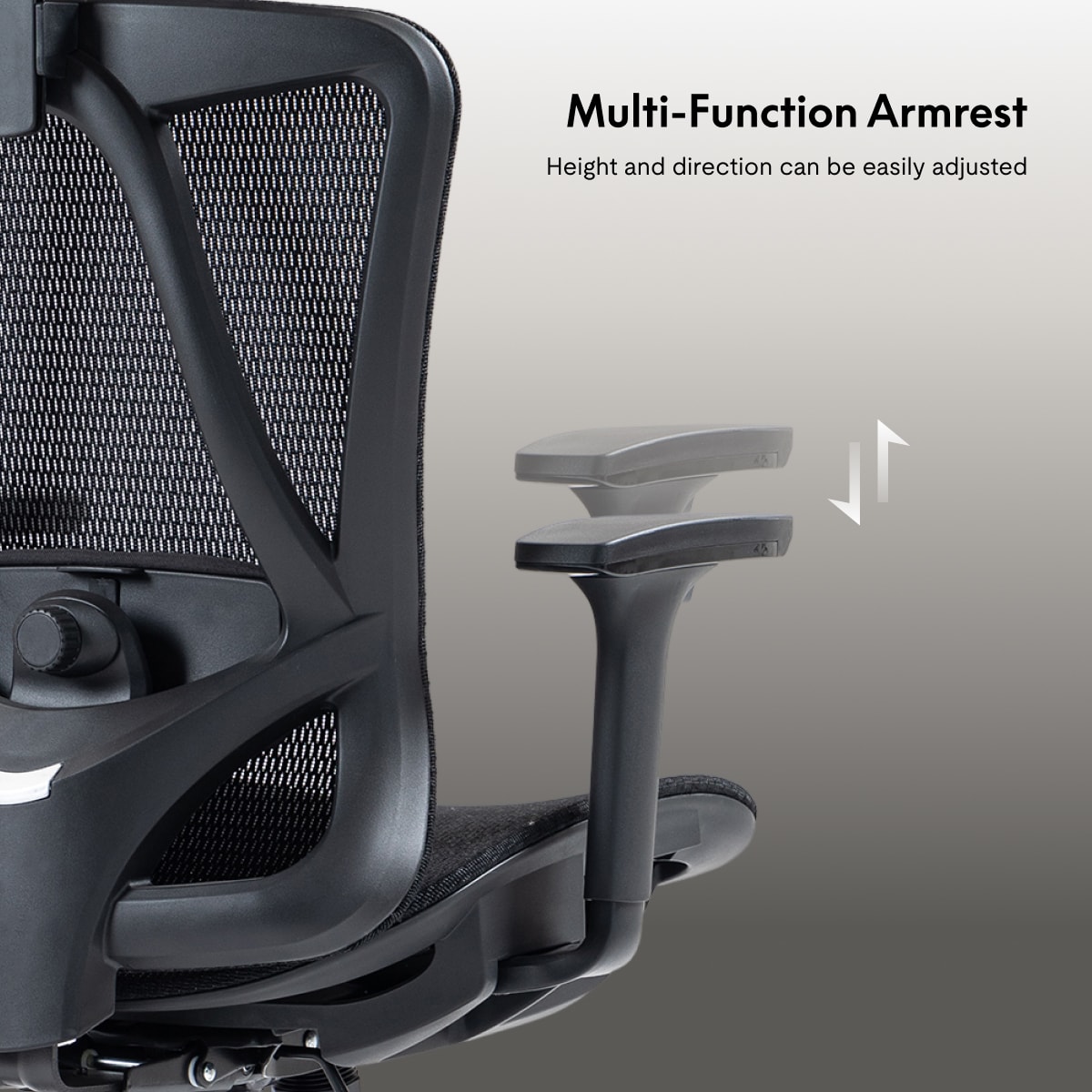 Soutien Ergonomic Office Chair C5 | Flexispot