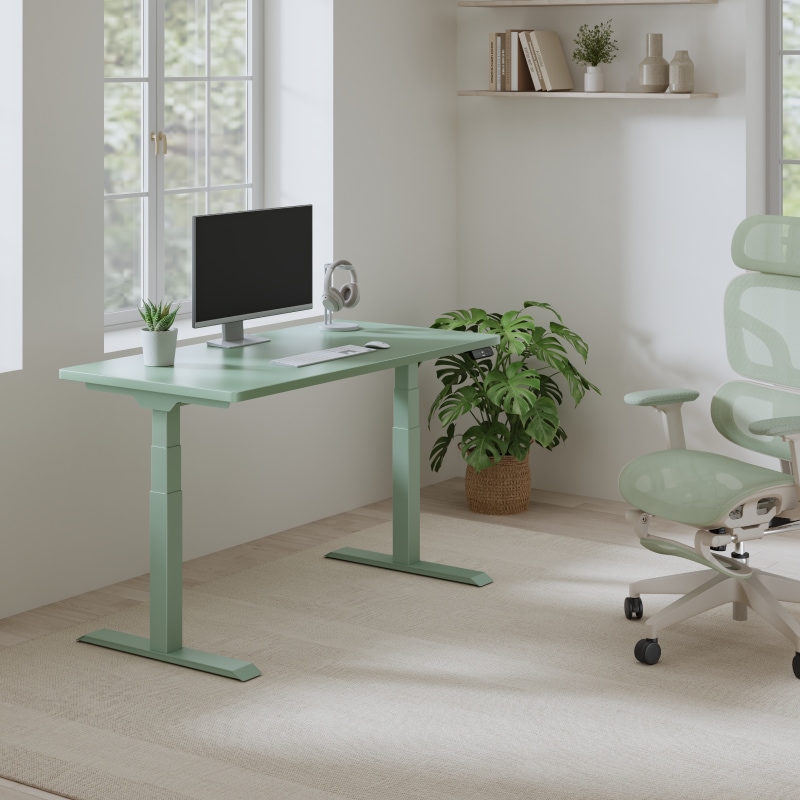Height Adjustable Electric Standing Desk for Home Office