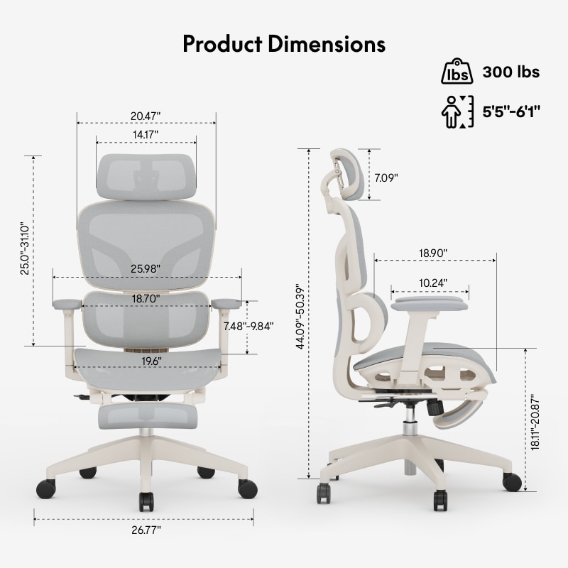 Standard Ergonomic Office Chair | FlexiChair C4 | Flexispot