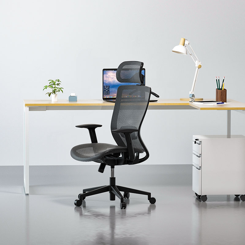 Ergonomic Office Chair OC3B | Flexispot