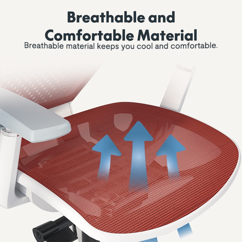 Ergonomic Chair Pro | Flexispot