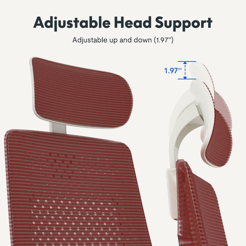 Ergonomic Chair Pro | Flexispot