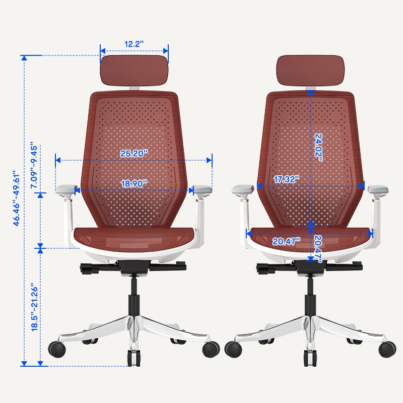 Ergonomic Office Chair Genidia Chair Singapore Hjh Office Senator