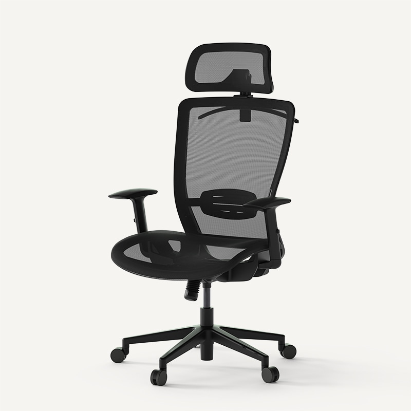 Flexispot Ergonomic Gaming Chair with Retractable Footrest Ri3476 –  standingdesklife