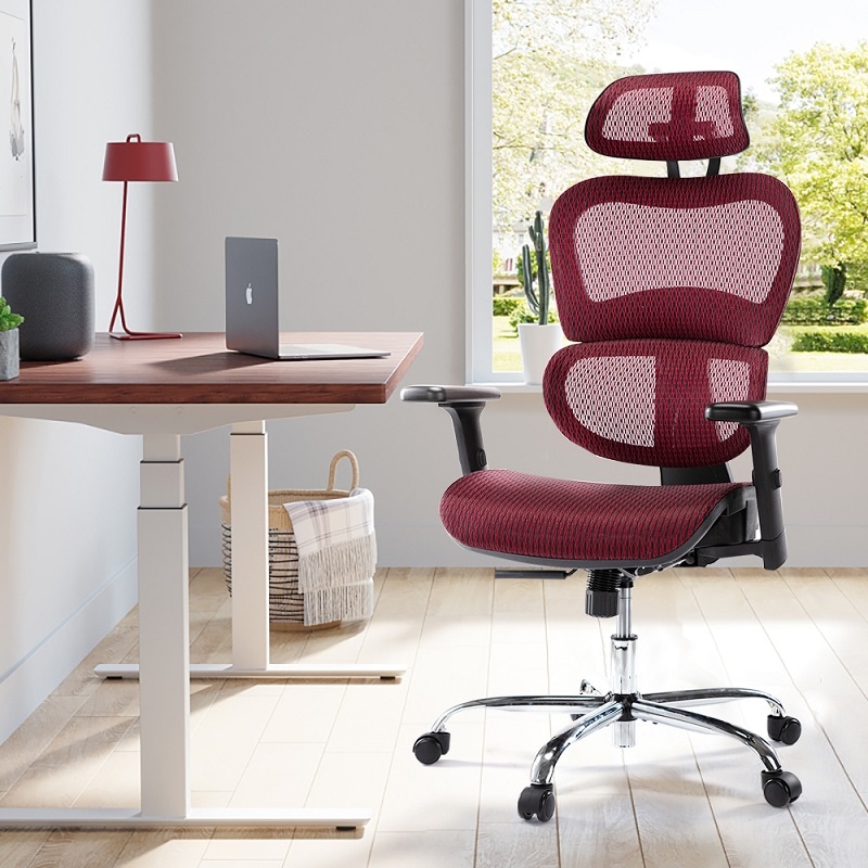 Ergonomic Office Mesh Chair 1388 | Flexispot
