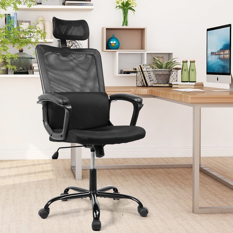 Ergonomic Office Mesh Chair 6579 | Flexispot