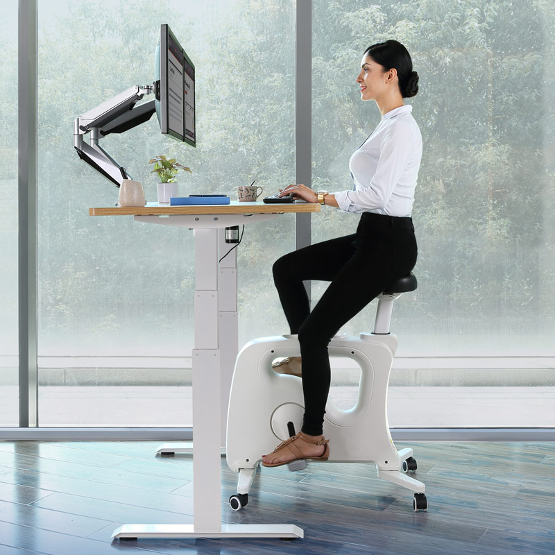 flexispot バイクチェア V9U Under Desk Bikes V9U丨FlexiSpot