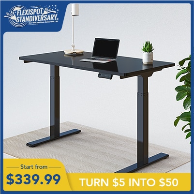 Electric Height Adjustable Standing Desk E2AL | Flexispot