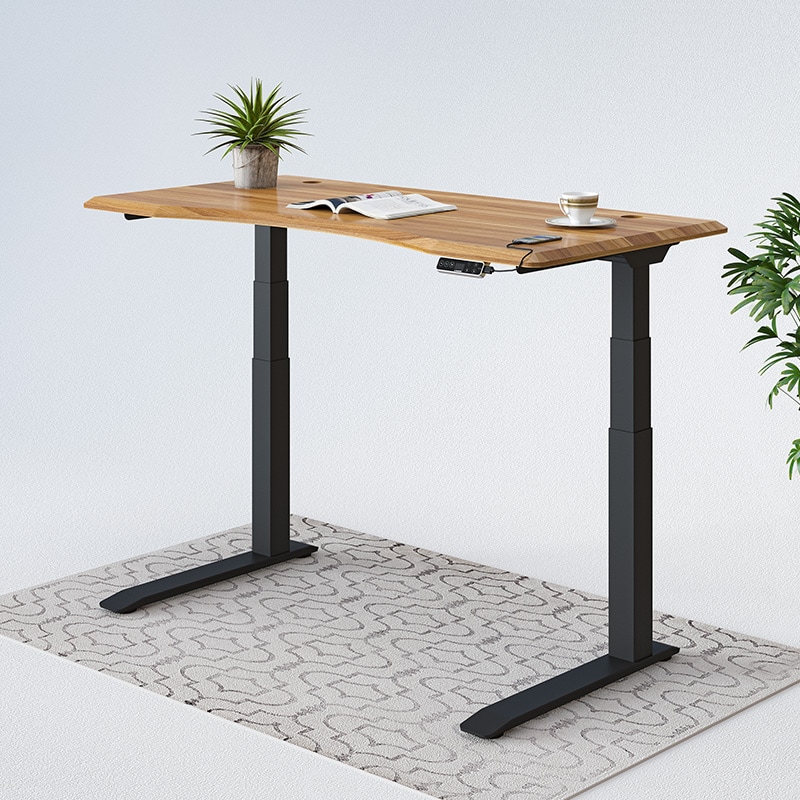 予約販売 Electric Height Adjustable Standing Desk: Dual Motor その他