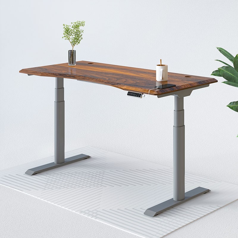 Electric Height Adjustable Standing Desk: Dual Motor