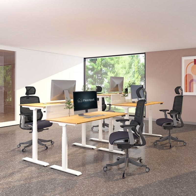 パソコンデスク FLEXISPOT E8 Electric Height Adjustable Standing Desk: Dual Motor