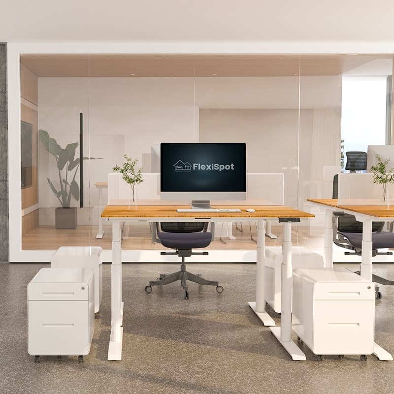 Electric Height Adjustable Standing Desk: Dual Motor