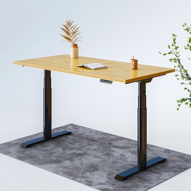 Electric Height Adjustable Standing Desk: Dual Motor