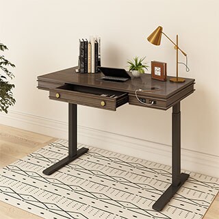 Theodore Standing Desk UD1B | Flexispot