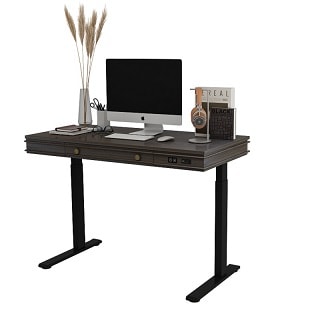 Theodore Standing Desk UD1B | Flexispot