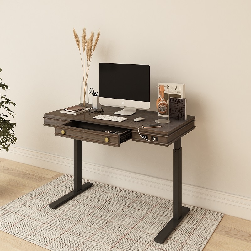 Theodore Standing Desk UD1B | Flexispot