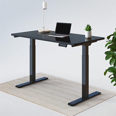 Electric Height Adjustable Standing Desk E2AL | Flexispot