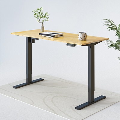 FlexiSpot E2 ブラック Motorized Standing Desk - FlexiSpot E2 Review - YouTube