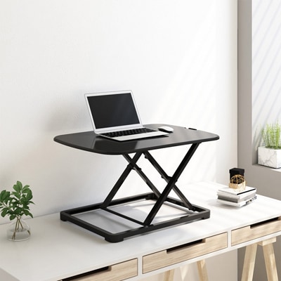 GoRiser Standing Desk Converters ML2 | FlexiSpot