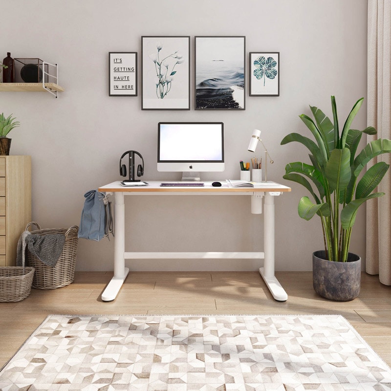【最終値下げ】FlexiSpot SD1　100×60 Height Adjustable Ergonomic Study Desk SD1 | Flexispot