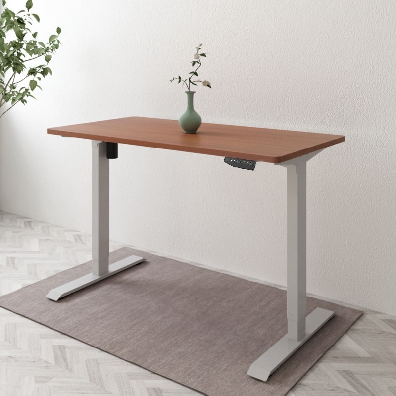 Extra large desktop | FlexiSpot Standing Desk Pro Series