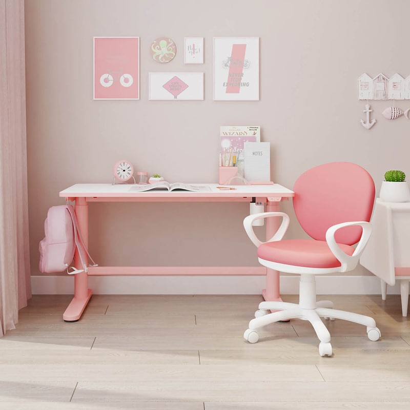 【最終値下げ】FlexiSpot SD1　100×60 Height Adjustable Ergonomic Study Desk SD1 | Flexispot