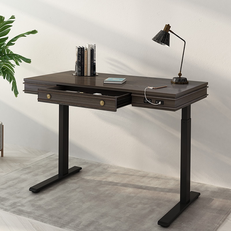 Theodore Standing Desk UD1B | Flexispot