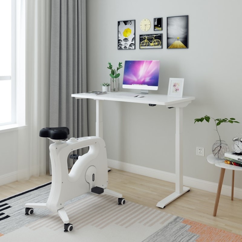 Electric Quick-Install Height Adjustable Desk EC9 | FlexiSpot