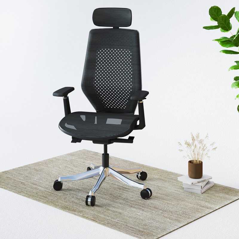 Ergonomic Chair Pro Flexispot