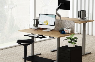 Flexispot wobble hot sale