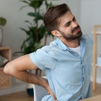 Lumbar Support, Big Ant Car Back Support with Massage Beads