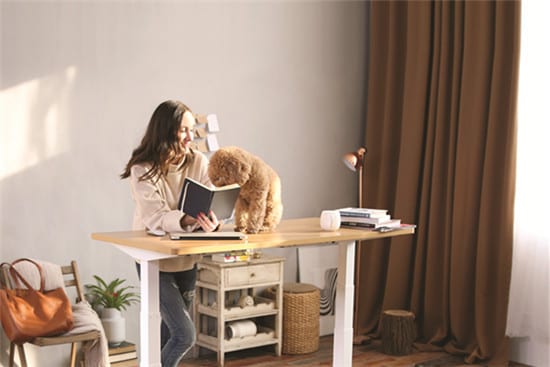 Flexispot en1s outlet