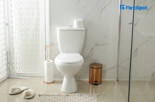 Flexispot store toilet seat
