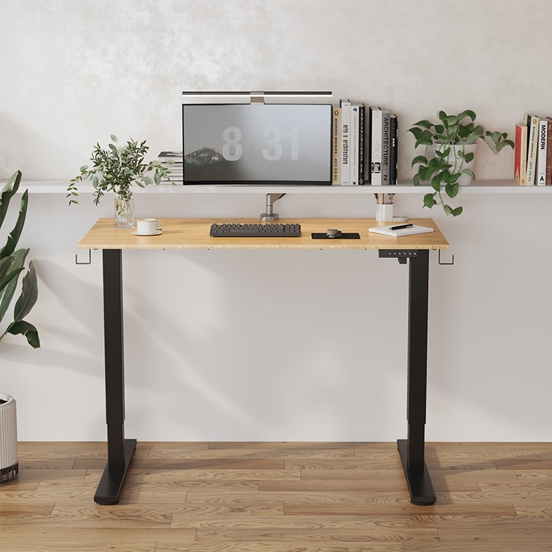 Rectangular Electric Height Adjustable Standing Desk | FlexiSpot
