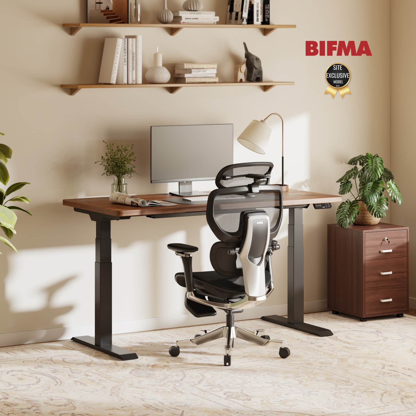 Electric Height Adjustable Standing Desk: Dual Motor Economical